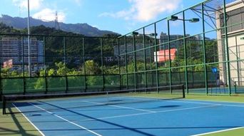 盐田体育中心网球场网球2小时畅打 