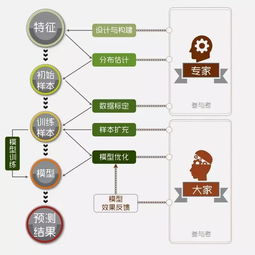 命运背后的数学原理