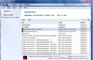 win10怎么降低flash版本