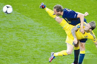 2012欧洲杯瑞典,欧洲杯瑞典