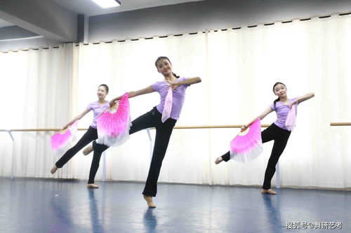 舞蹈艺术类高考,国标舞高考艺考考什么