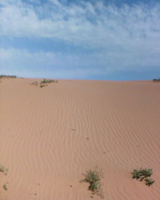 腾格里沙漠旅游攻略