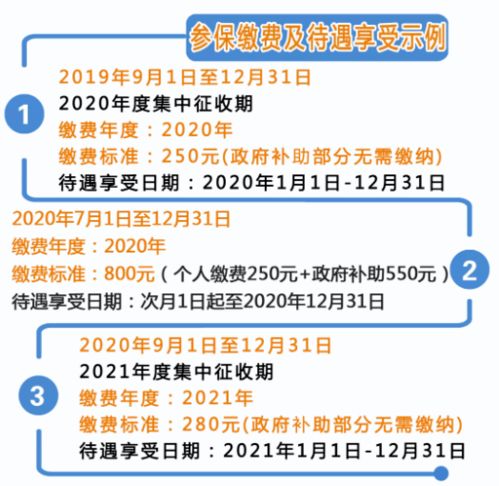 城乡居民医疗保险缴纳办法,居民医保怎么缴费2024