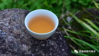 武夷岩茶望族,武夷水仙茶