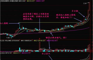 股票高手技术分析技巧,股票高手技术分析的关键要素