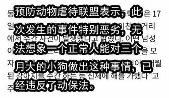 三个月大幼犬被最醉酒男子性侵 都怪你长得太可爱了