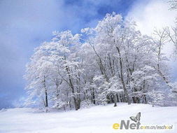 冬季倒计时 Photoshop打造满山风雪 