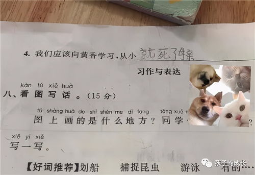 小学生作业又出 新包袱 ,哑巴吃黄连的下一句 聋子喝绿茶