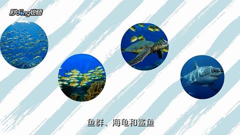 南京海底世界旅游攻略