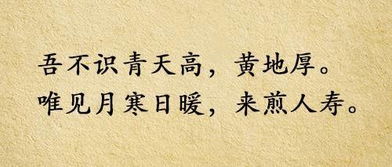 想象未来的名言—中学生对未来期望的名言警句？