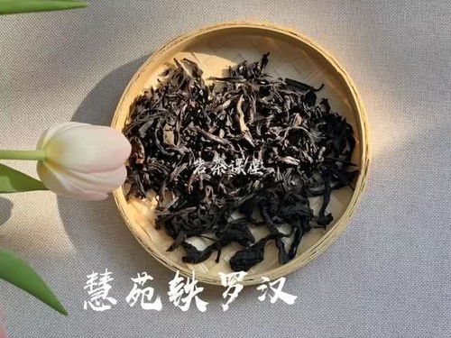 当下武夷岩茶名丛的榜首,到底是大红袍 还是铁罗汉