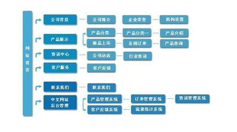 新经板网站的定位是什么？