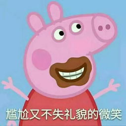 从卡通片到表情包,小猪佩奇如何成功走上网红之路 搜狐娱乐 搜狐网 
