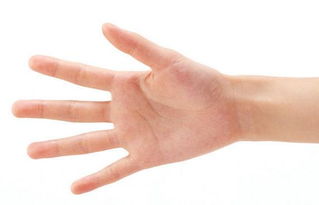 小拇指的手相代表着什么 