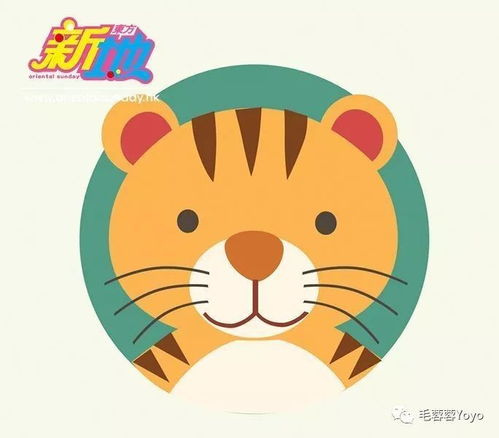 麦玲玲2019猪年运程 猪 鼠 牛 虎