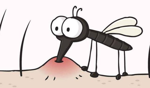南京人注意 今年蚊子比去年多,听说蚊子最爱叮智商高的人