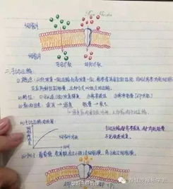 学霸笔记丨云南民大附中 陈汭奇,条理性特强的牛笔记 