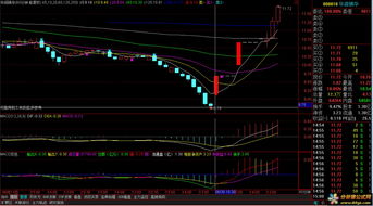 用通达信30分钟或60分钟macd红柱怎样选股？可以告知公式吗？