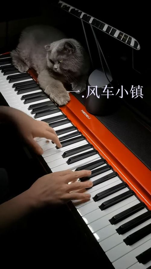 钢琴演奏 