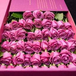 粉色花束的花语,粉色花束，浪漫至死不渝——解读花语中的甜蜜与爱意