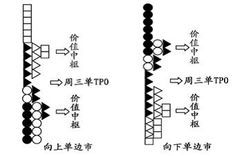 什么是单边市？什么是双边市？