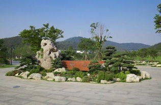 深圳南山公园,深圳南山公园：自然与现代的完美融合