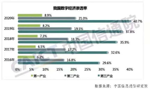 数字经济如此 火 ,这把 柴 该怎么添