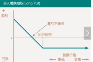 什么是看跌期权？如果购买的看跌期权的数值为当时预值的11倍、这意味着什么？