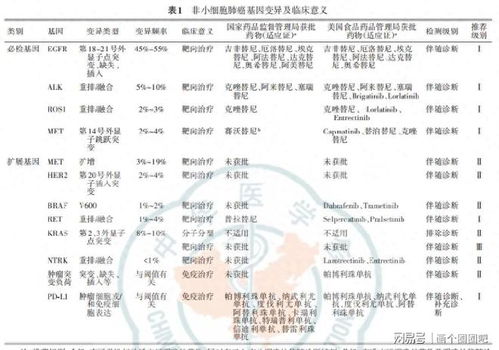 绿色部分查重是否计入查重率？一篇文章告诉你答案