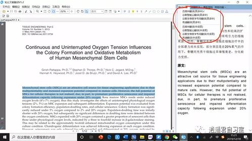 外国文献查重翻译工具推荐与使用指南