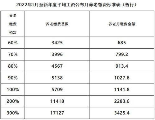 灵活就业养老保险缴费额,2022年合肥灵活就业社保缴费标准