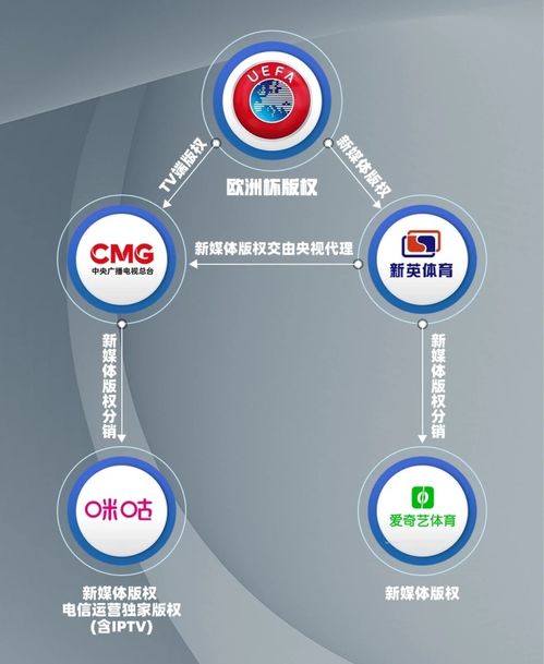 欧洲杯的最新相关信息,欧洲杯几年一次最新的相关信息谁知道