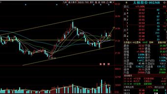  富邦股份股票走势分析最新,最新动态与未来展望 天富官网