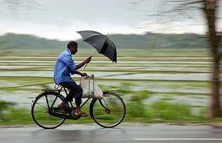 下雨天什么和自行车最配 雨中骑行图赏 