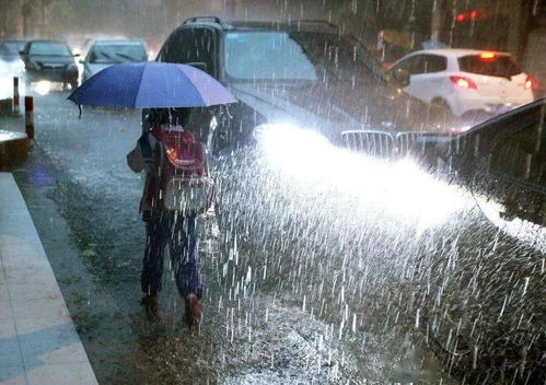 社区对暴风雨天气及时提醒,暴风雨来临时应注意什么?