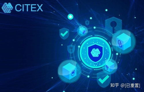 C网(CITEX)交易所排名第几,C网实力榜上显峥嵘