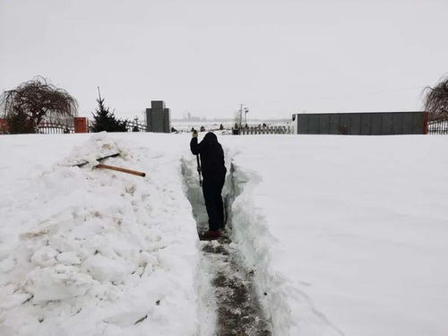 持续降雪 内蒙古一地积雪达2米深 施救被困车辆仍在进行中