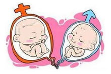 明明怀上双胞胎,第二次产检时,医生却说只有一胎