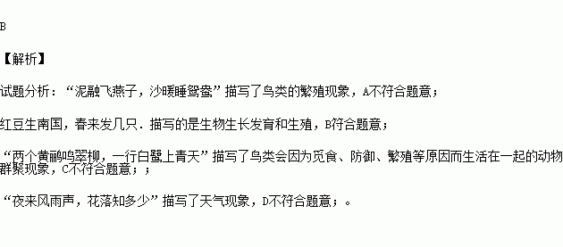 孵字怎么造句_因为什么小燕子学会了飞补充句子？