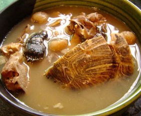 用巴西龟煲汤应该放什么材料吗 龟汤有什么作用吗 