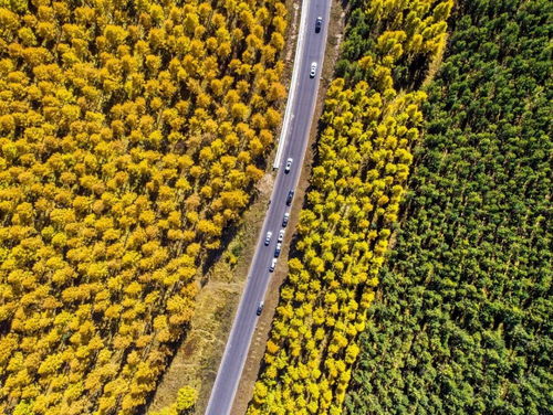 绿水青山 距离我们究竟有多远