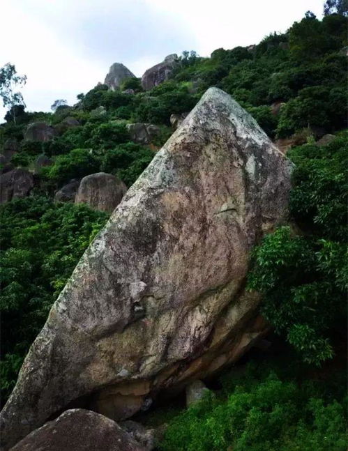 漳浦紫薇寺 乌石山水秀 紫薇别有天