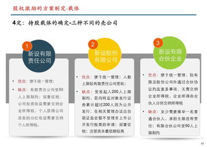 哪家公司可以帮忙做小公司股权激励方案？