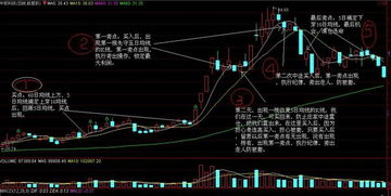 大学生分析一只股票实例,大学生分析股票实例——以学大教育（000526）为例