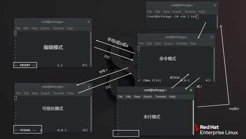 linuxvim编辑器的用法,在 linux 系统中，“vi”命令的使用方法是什么？