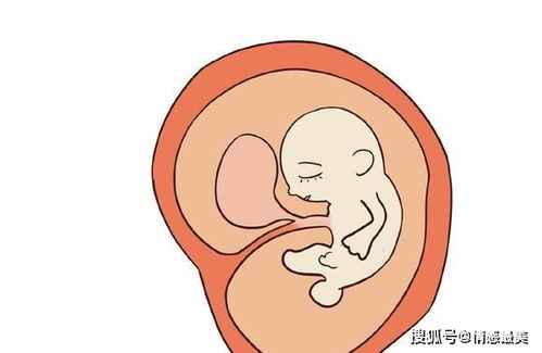 怀孕后出现这些问题,先别急着流掉胎儿,他比你想象中坚强