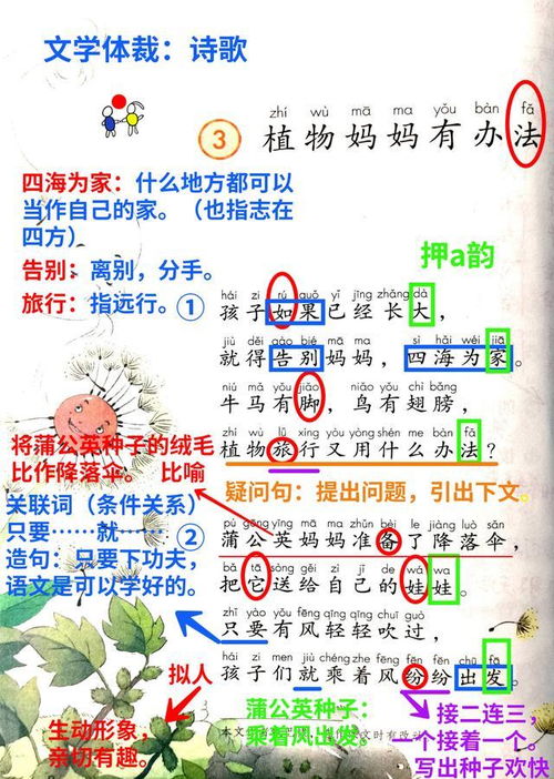 《植物妈妈有办法》课文中“四海为家” “旅行”代表什么意思