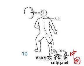 什么是经脉？具体的运行方式是什么？