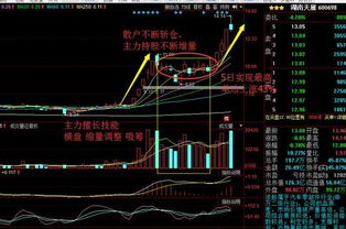 抓住第一个涨停板后，第二天怎么操作?