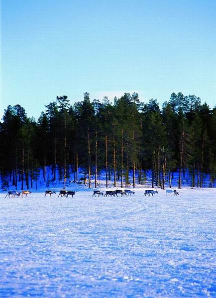 去芬兰旅游淡季
